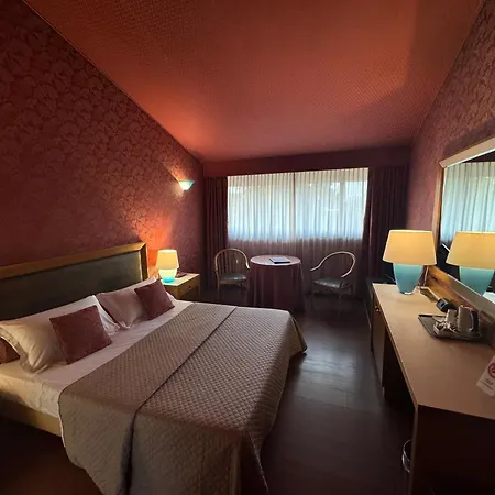 Отель Visconteo 4*